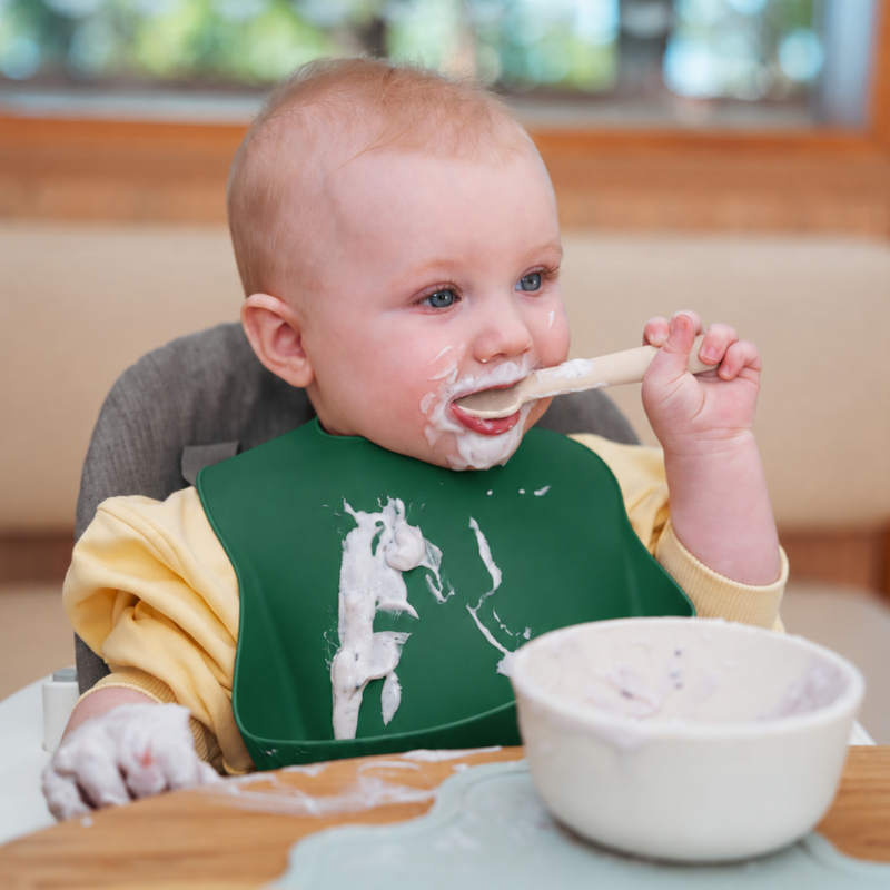 Rommer Silicone Bib in Fern