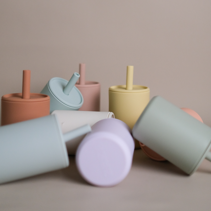Sippy Cup