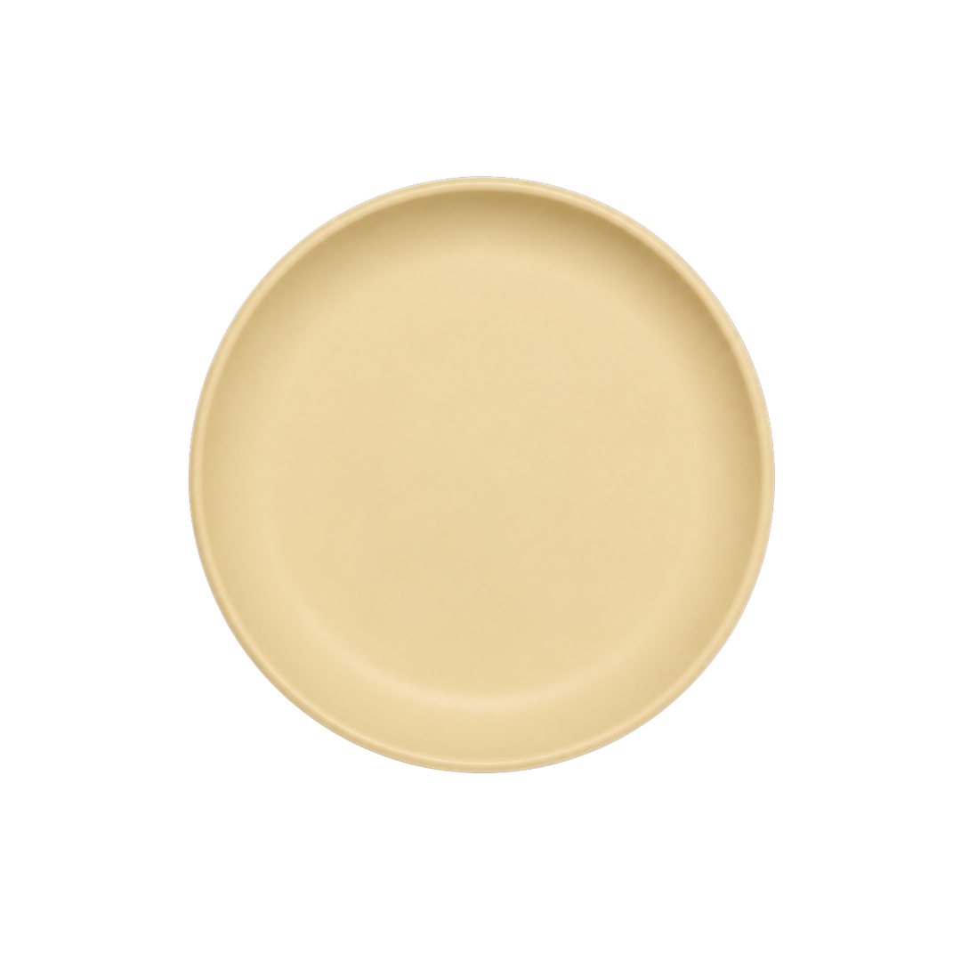 Plate